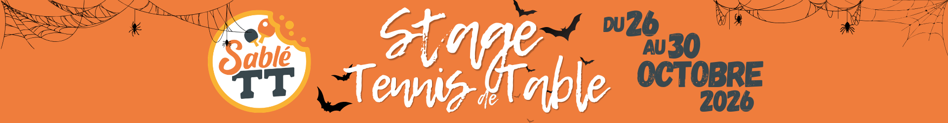 Sablé TT - Stage Toussaint 2026 2027 - BANNIERE